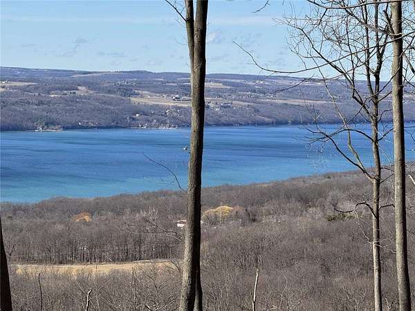 6 Acres of Residential Land for Sale in Burdett, New York