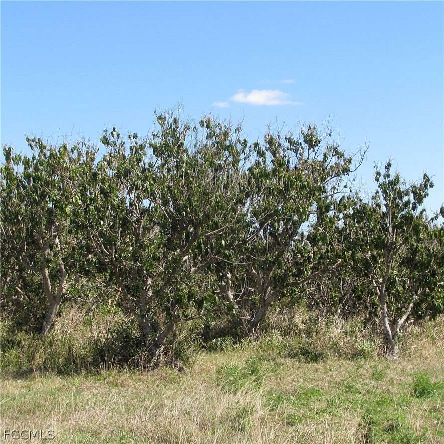 18.7 Acres of Land for Sale in Bokeelia, Florida