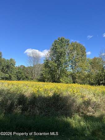 84.2 Acres of Recreational & Residential Land for Sale in Lake Ariel, Pennsylvania