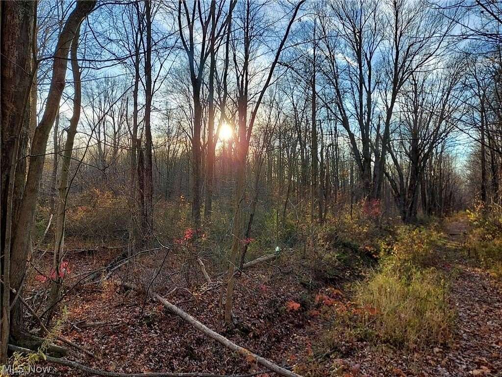 0.47 Acres of Land for Sale in Madison, Ohio