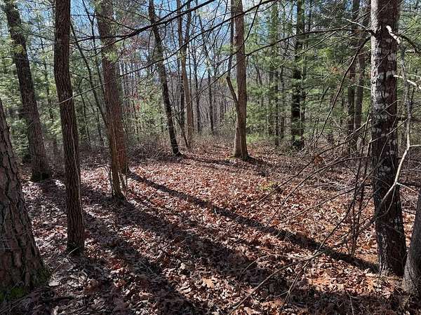 0.4 Acres of Land for Sale in Murphy, North Carolina