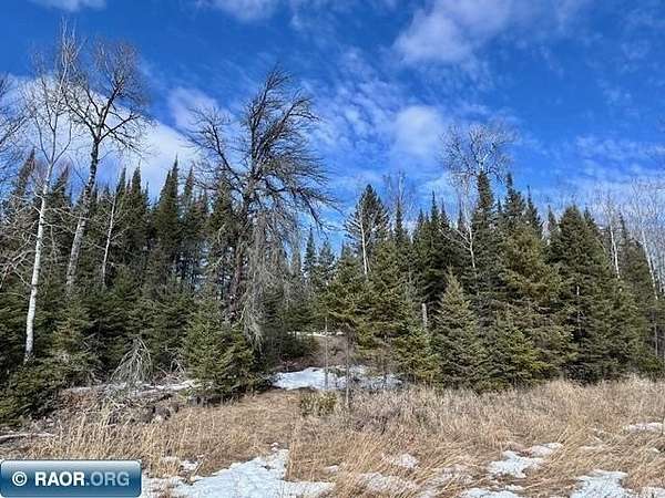 37.5 Acres of Recreational & Residential Land for Sale in Tower, Minnesota