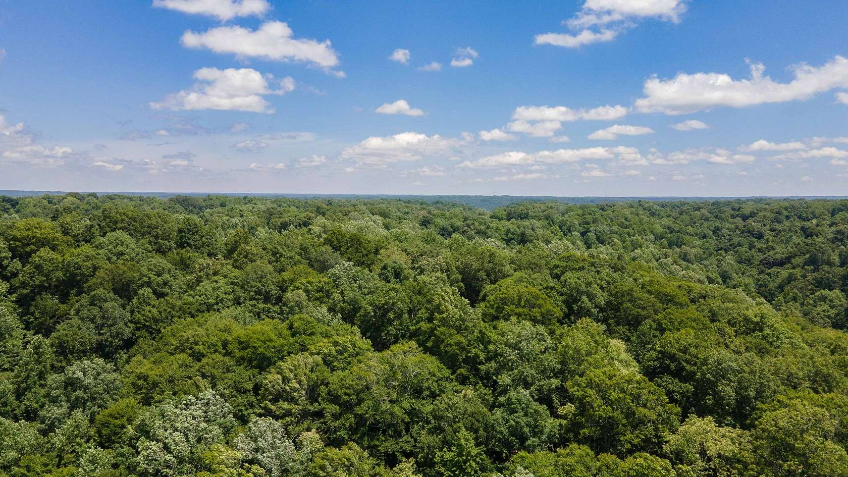 36.8 Acres of Recreational & Residential Land for Sale in Ashland City, Tennessee