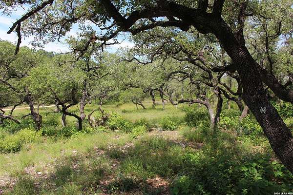 3.11 Acres of Residential Land for Sale in Helotes, Texas