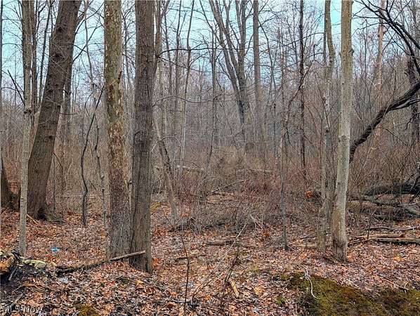0.47 Acres of Land for Sale in Madison, Ohio