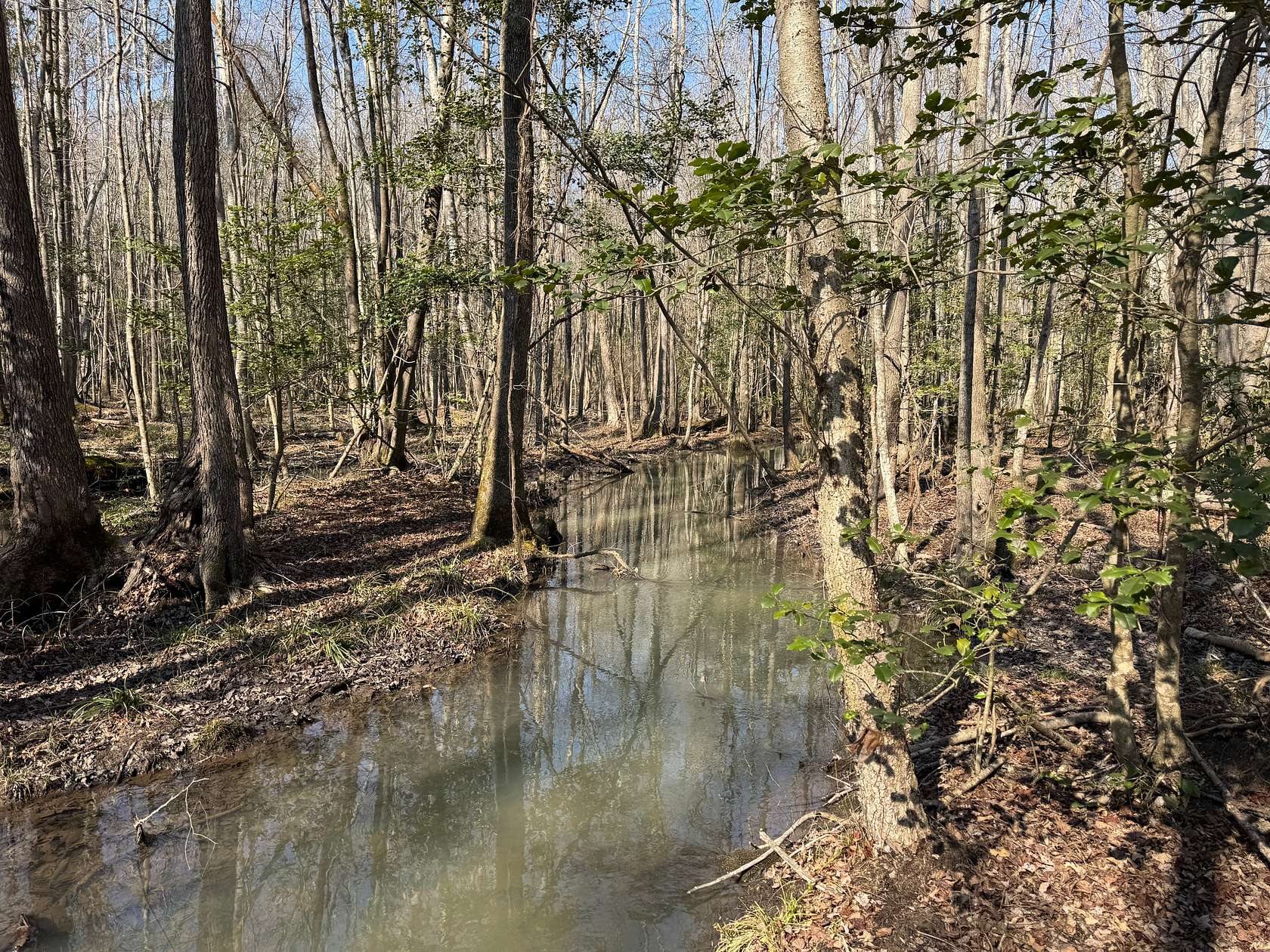 151 Acres of Recreational Land for Sale in Sumter, South Carolina