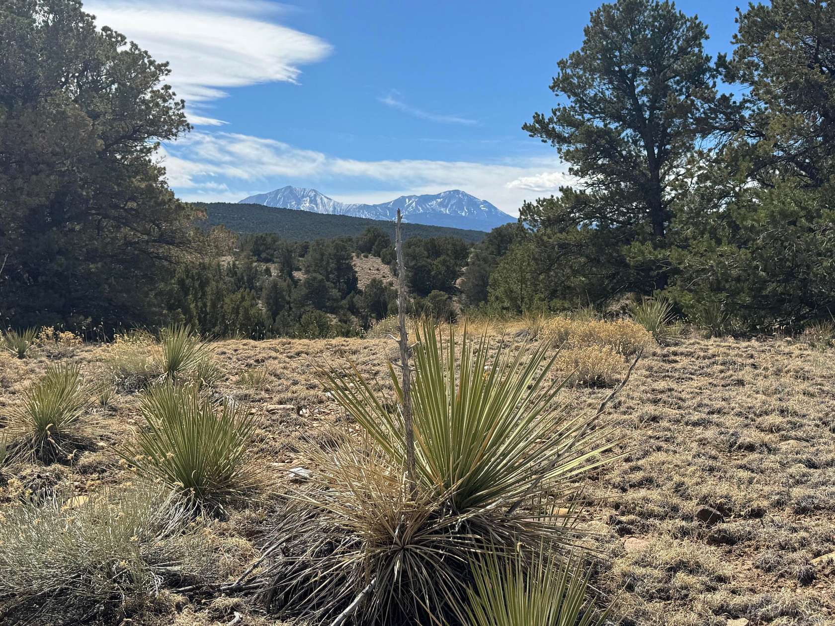 1 Acre of Land for Sale in Walsenburg, Colorado