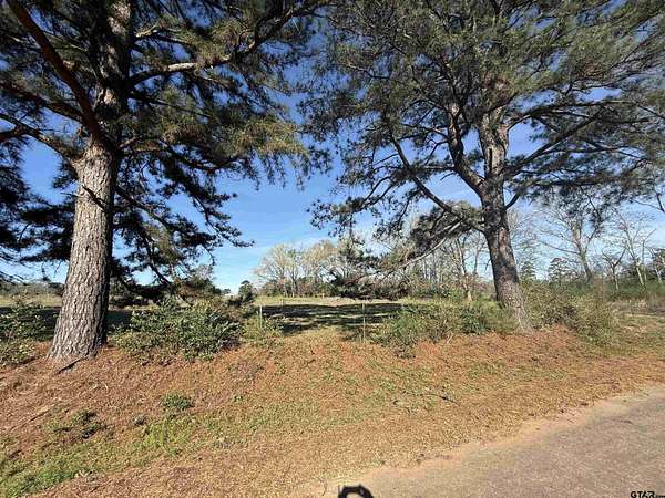 2.25 Acres of Residential Land for Sale in Henderson, Texas