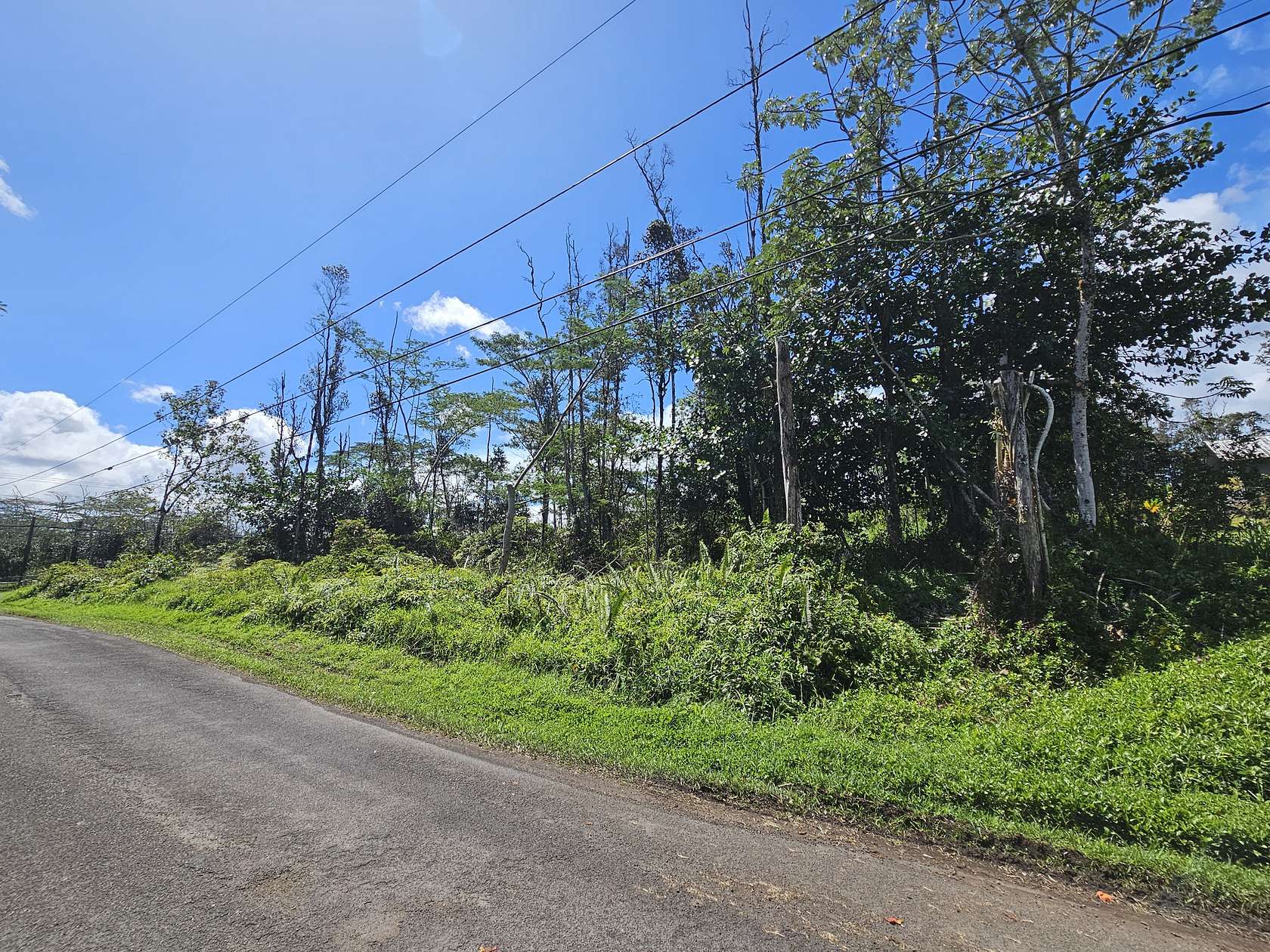 1 Acre of Residential Land for Sale in Keaau, Hawaii