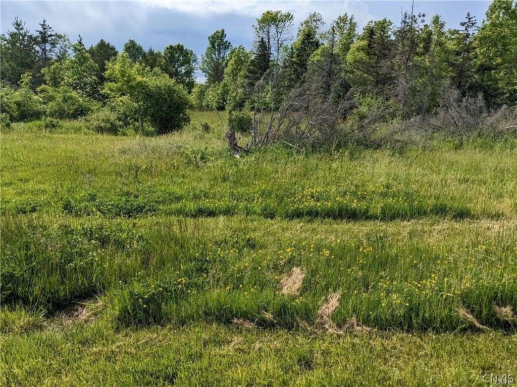 6 Acres of Improved Land for Sale in Chaumont, New York