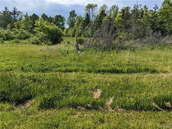 6 Acres of Improved Land for Sale in Chaumont, New York