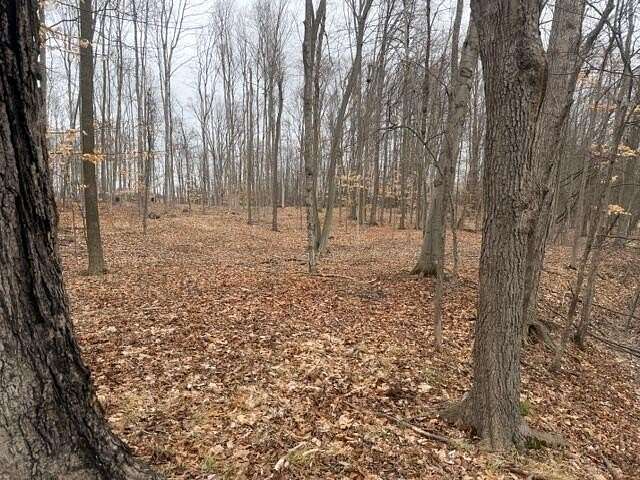 4.14 Acres of Residential Land for Sale in Grant, Michigan