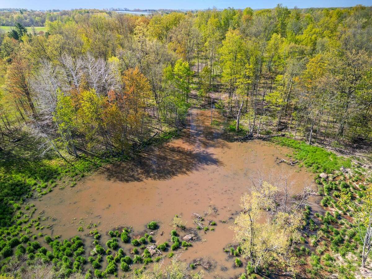 4.14 Acres of Residential Land for Sale in Grant, Michigan