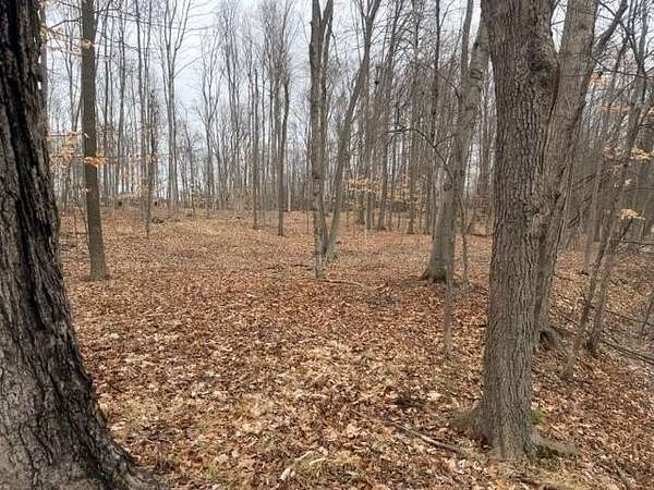 4.14 Acres of Residential Land for Sale in Grant, Michigan