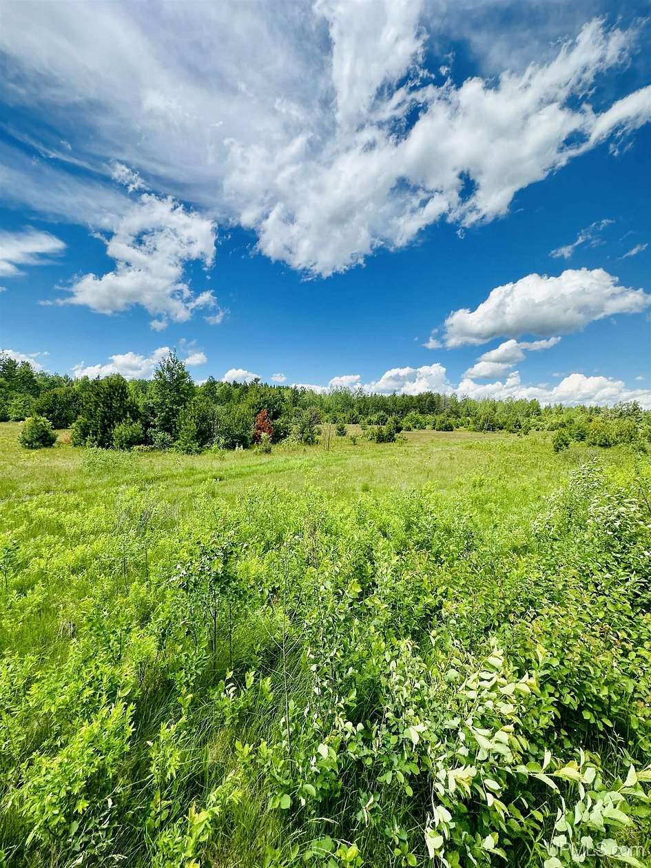 5 Acres of Residential Land for Sale in Republic, Michigan