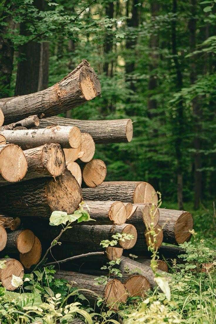 2 Acres of Residential Land for Sale in Batesville, Indiana