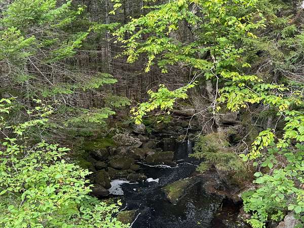 50 Acres of Land for Sale in Northfield, Maine