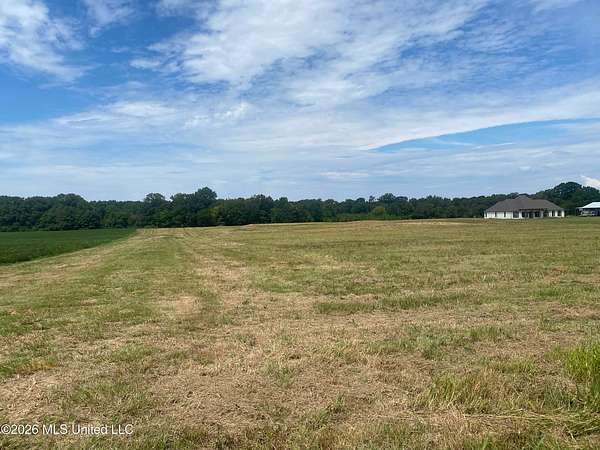17 Acres of Land for Sale in Pelahatchie, Mississippi