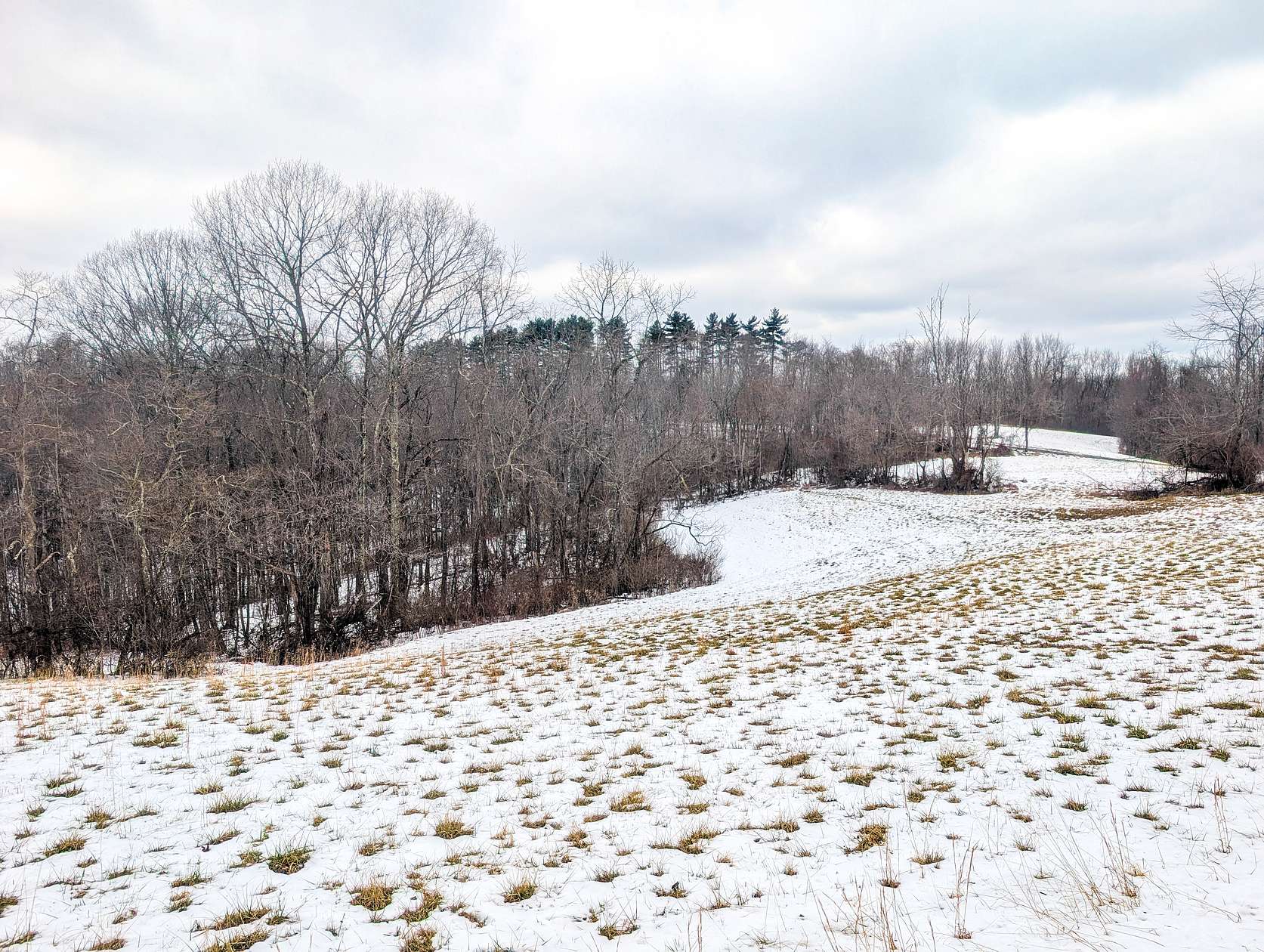 247 Acres of Land for Auction in Summerfield, Ohio