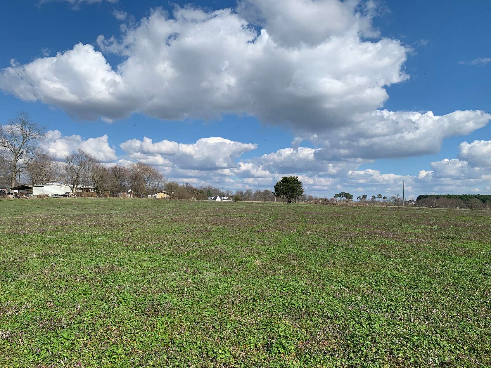 31 Acres of Agricultural & Residential Land for Sale in Rainsville, Alabama