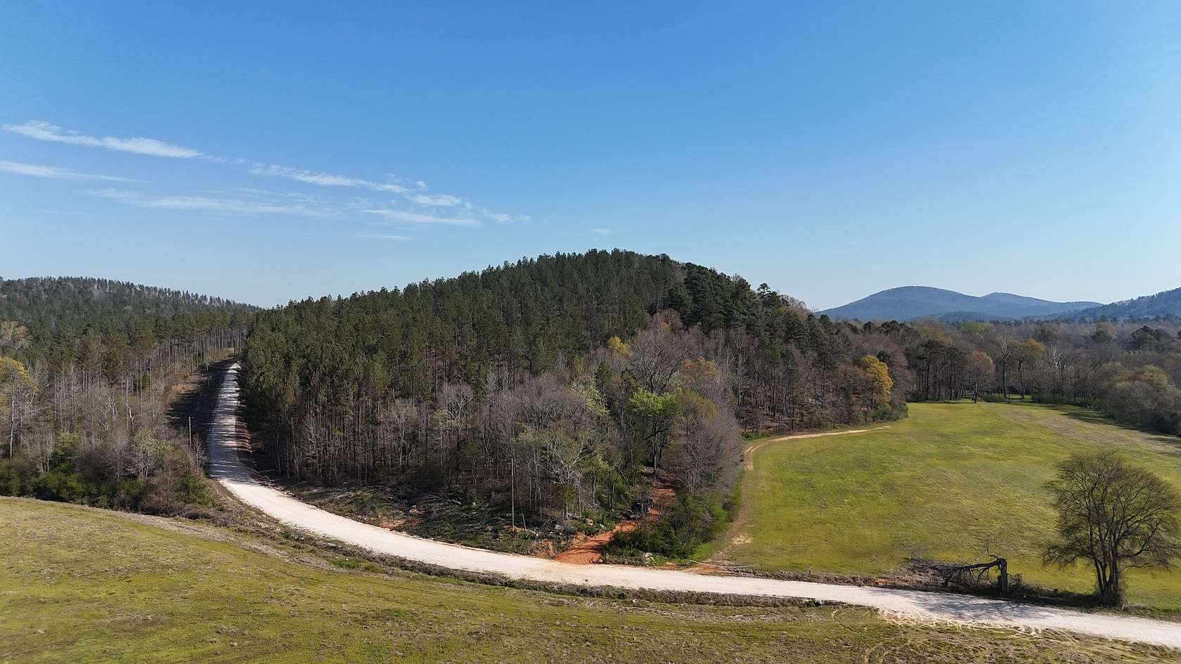 257 Acres of Recreational & Residential Land for Sale in Piedmont, Alabama