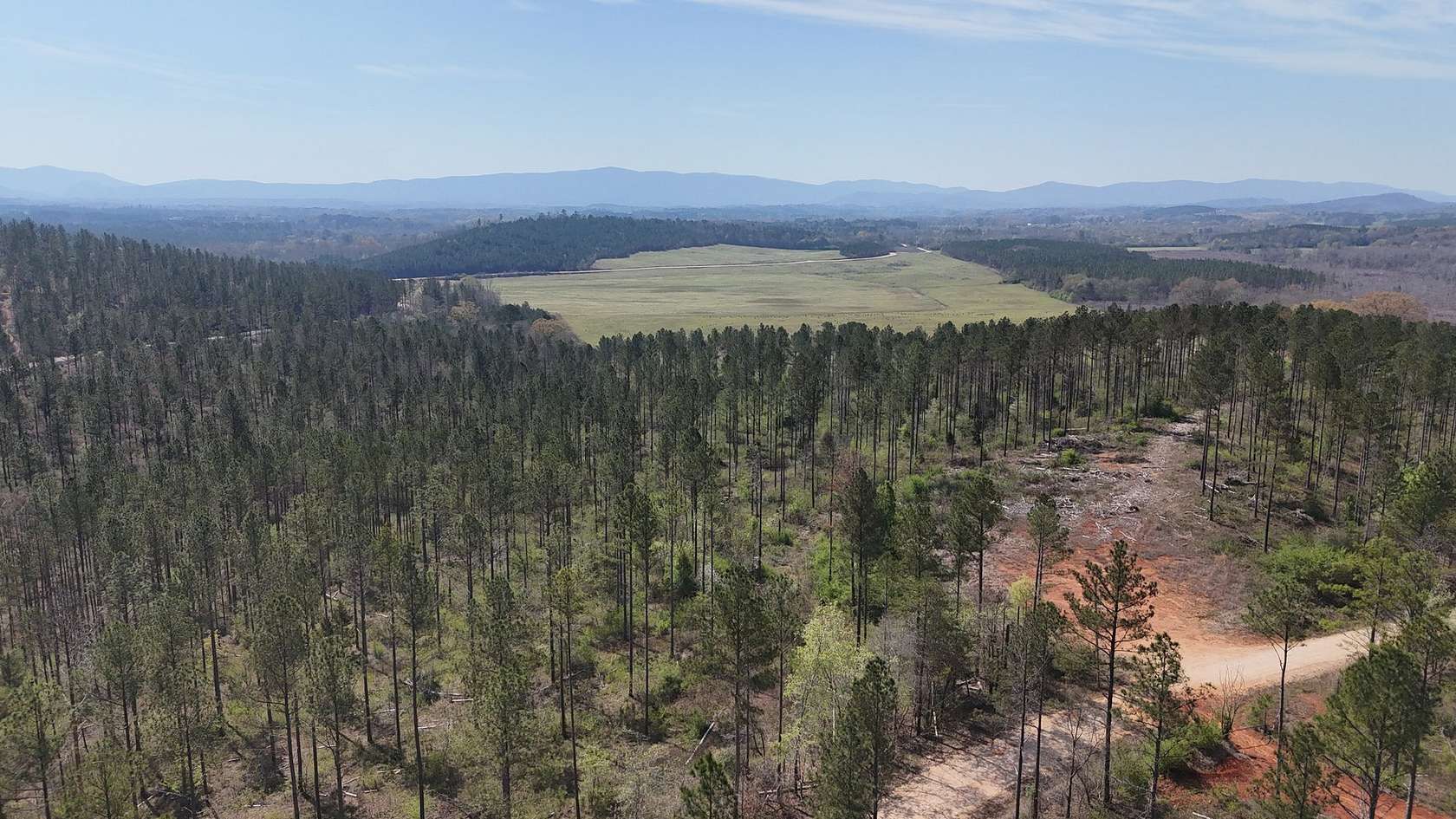 7.88 Acres of Residential Land for Sale in Piedmont, Alabama