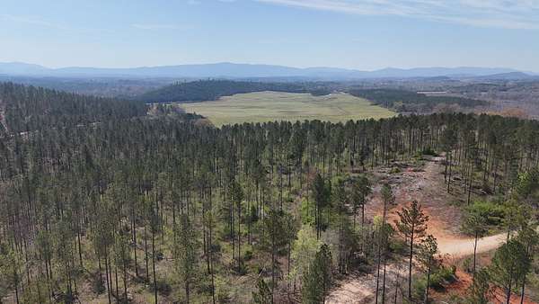 7.88 Acres of Residential Land for Sale in Piedmont, Alabama