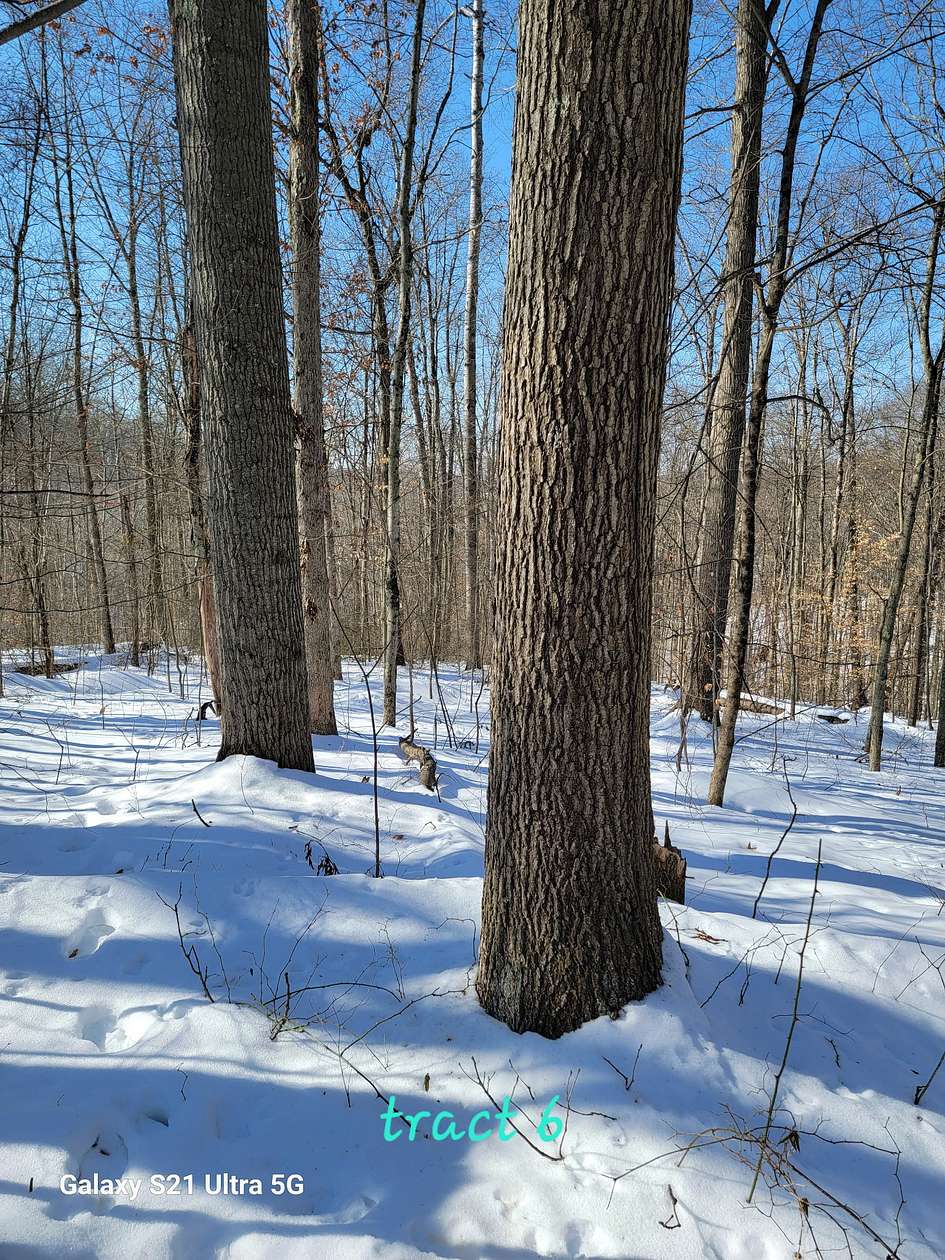 81.9 Acres of Land for Auction in Graysville, Ohio