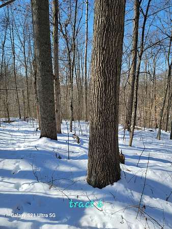 81.9 Acres of Land for Auction in Graysville, Ohio