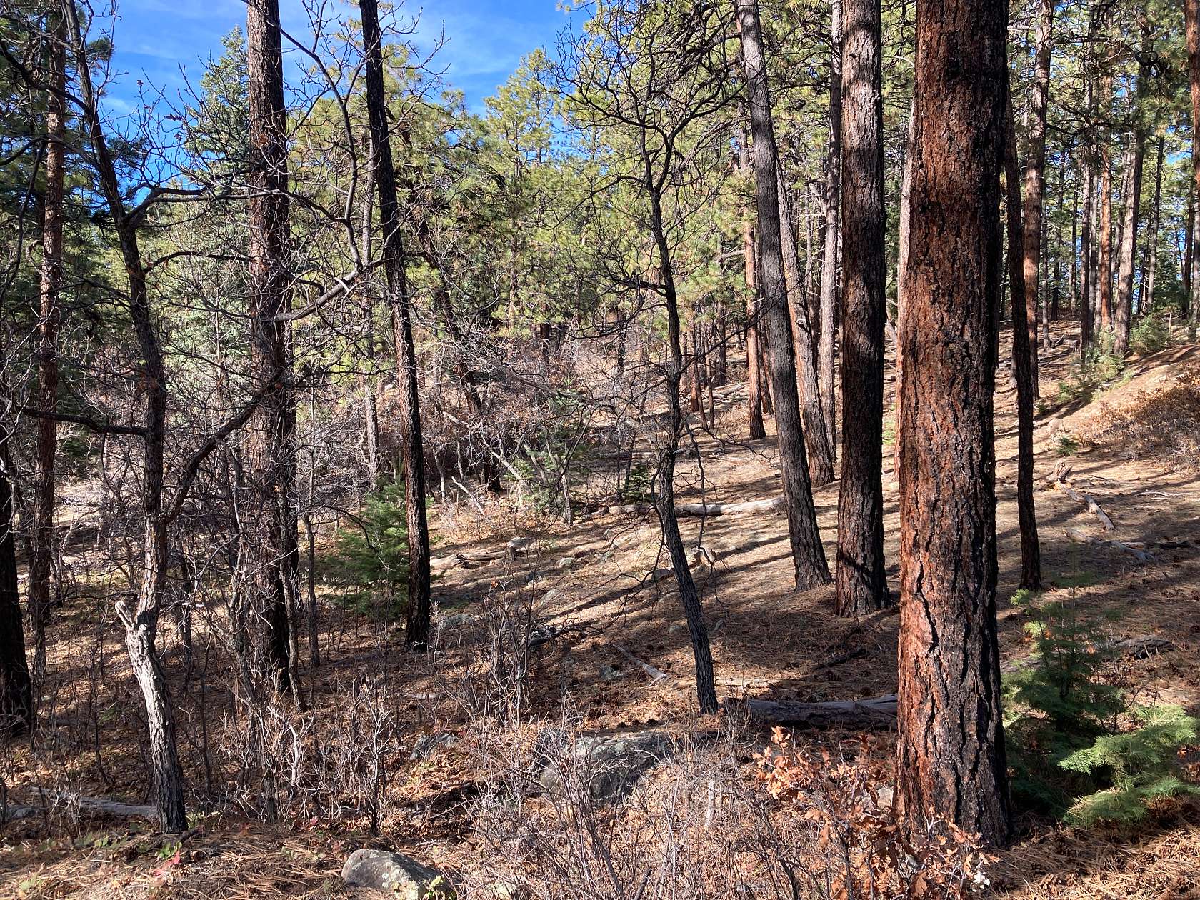 0.53 Acres of Residential Land for Sale in Chama, New Mexico