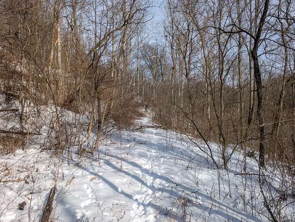 75.7 Acres of Land for Auction in Woodsfield, Ohio