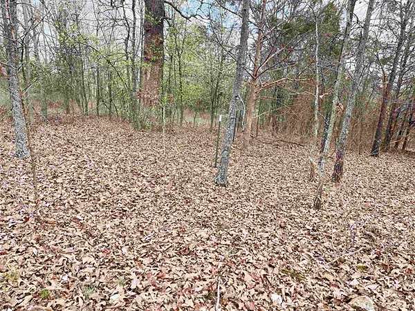 1 Acre of Residential Land for Sale in Viola, Arkansas