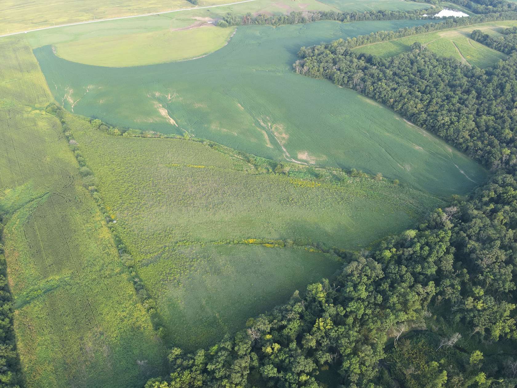 41 Acres of Land for Sale in Ridgeway, Missouri