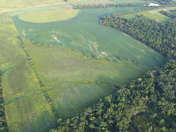 41 Acres of Land for Sale in Ridgeway, Missouri