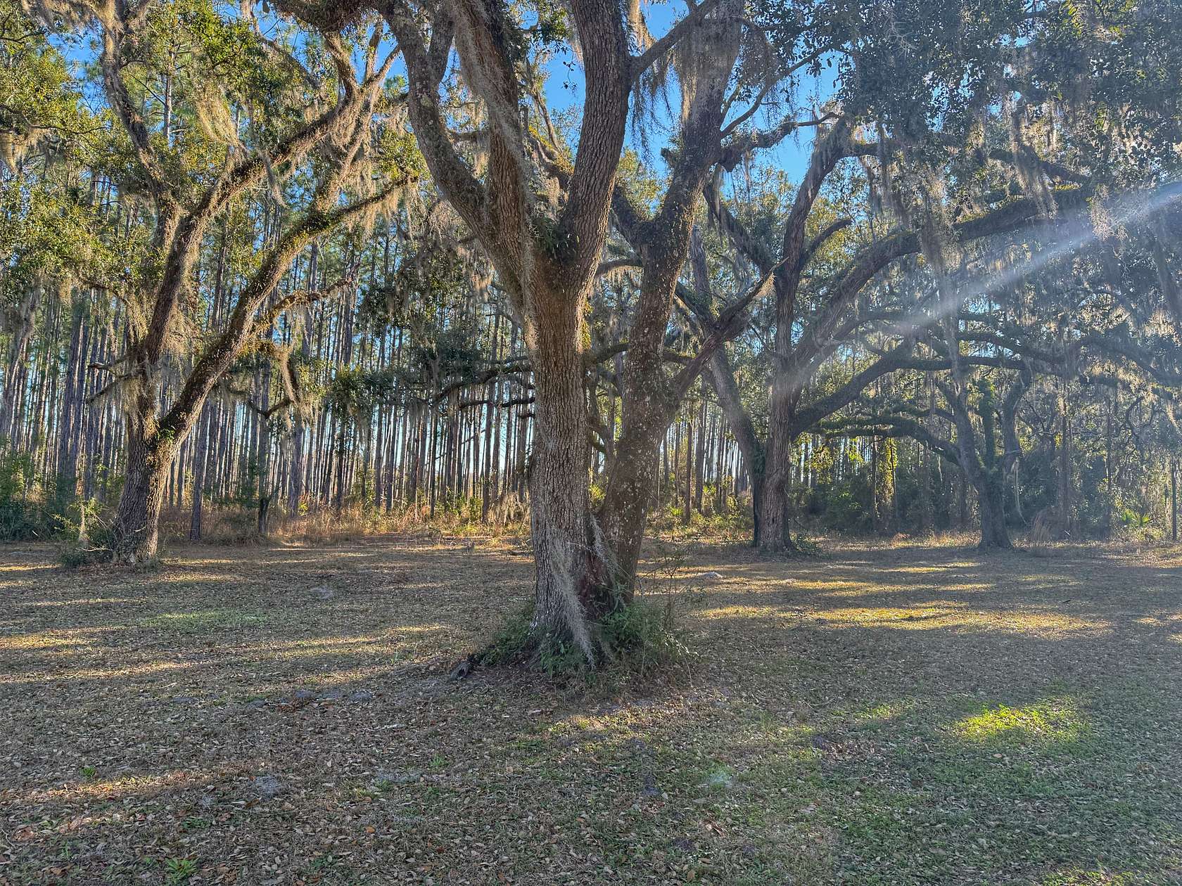 12 Acres of Land for Sale in Perry, Florida