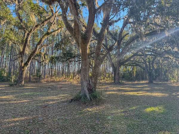 12 Acres of Land for Sale in Perry, Florida