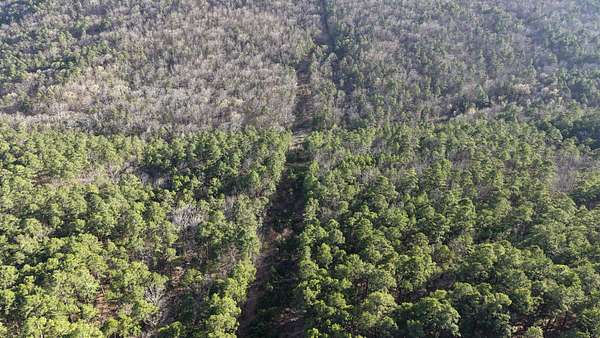 30 Acres of Land for Sale in Talihina, Oklahoma