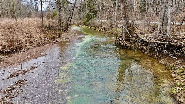 40 Acres of Land for Sale in Milltown, Indiana