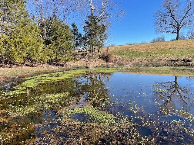 18.5 Acres of Land for Sale in St. Joe, Arkansas