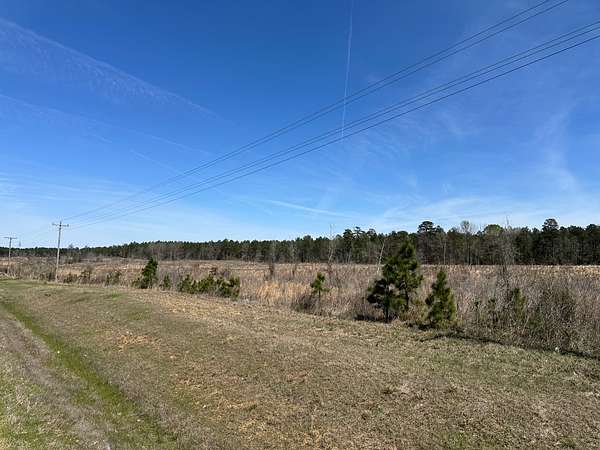 19.8 Acres of Land for Sale in Hermitage, Arkansas