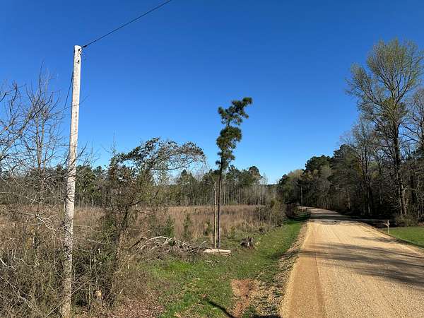 43.1 Acres of Land for Sale in Warren, Arkansas