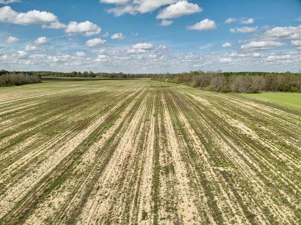 15 Acres of Land for Sale in Ashford, Alabama