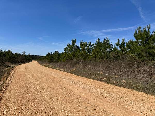48.6 Acres of Land for Sale in Fountain Hill, Arkansas