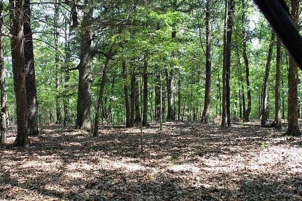 1.15 Acres of Residential Land for Sale in Protem, Missouri