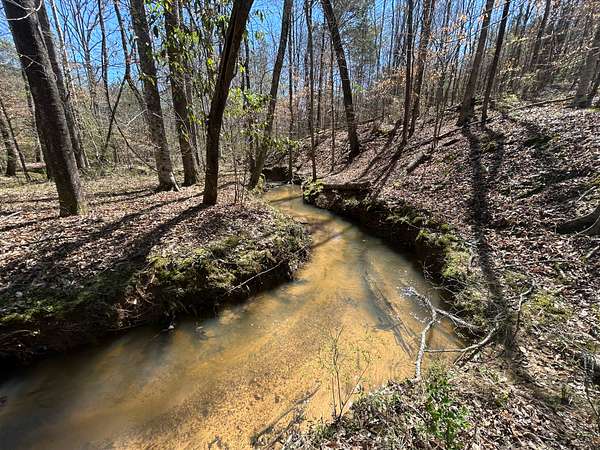 29 Acres of Land for Sale in West Blocton, Alabama