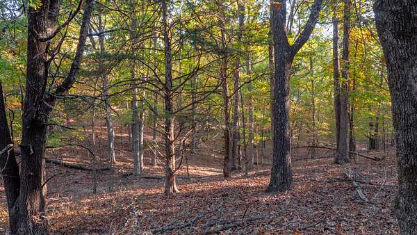 1.1 Acres of Residential Land for Sale in Protem, Missouri