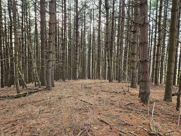 7.7 Acres of Land for Sale in Willis, Virginia