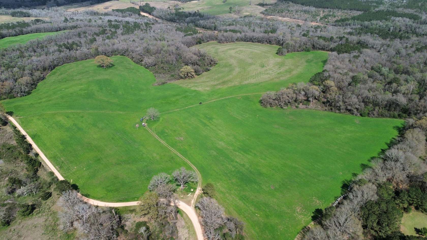 240 Acres of Land for Sale in Clio, Alabama