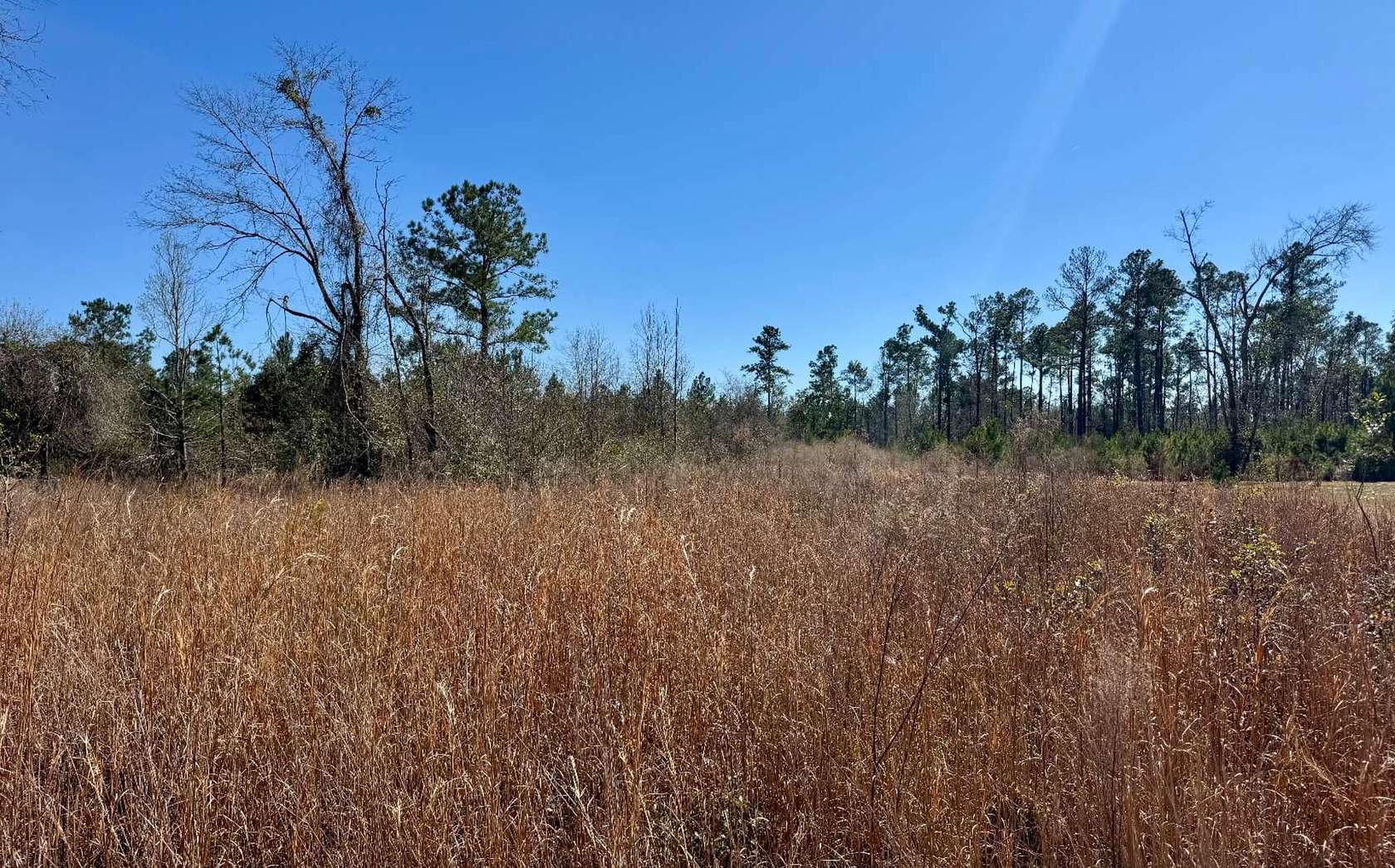 11 Acres of Land for Sale in Jennings, Florida