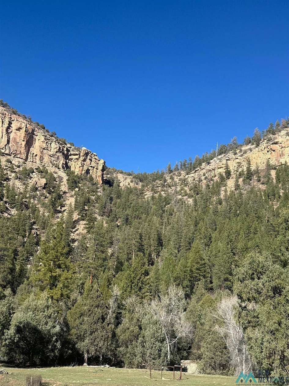 40 Acres of Land for Sale in Monero, New Mexico